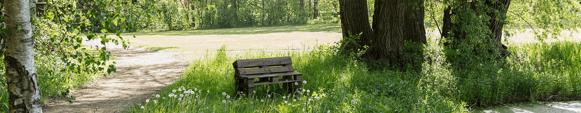 Bænk ved sø_375 x1920pxl