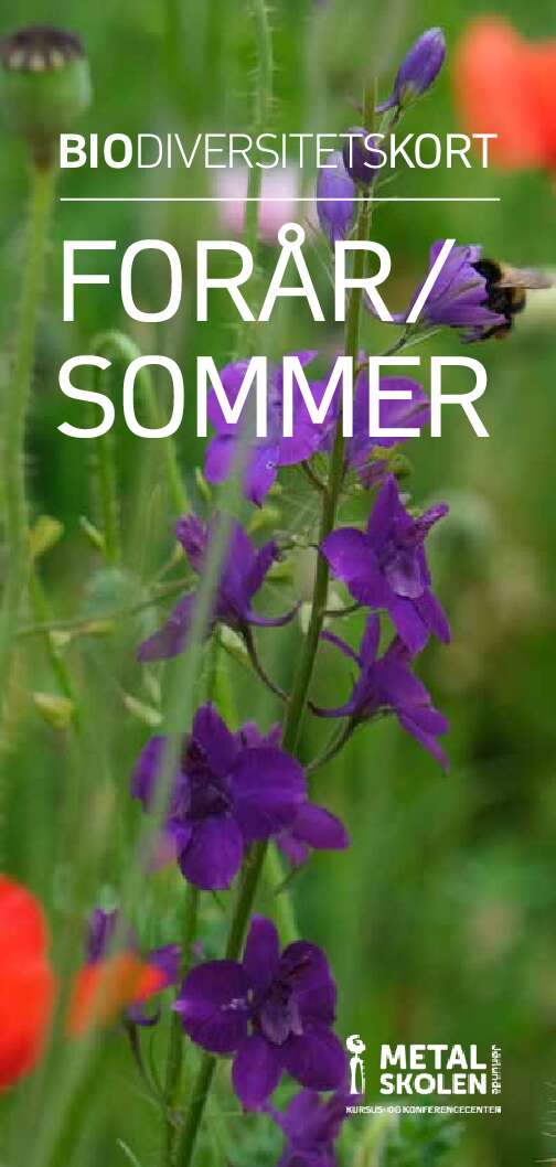 Forside-biokort_sommer_til-hjemmeside-pdf Biodiversitetskort